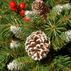 Christmas Central Frosted Pinecones And Berry Artificial Christmas Wreath, 24-Inch, Unlit -Best Christmas Decoration Store dnat frb 24w 1 3 35177.1631812959